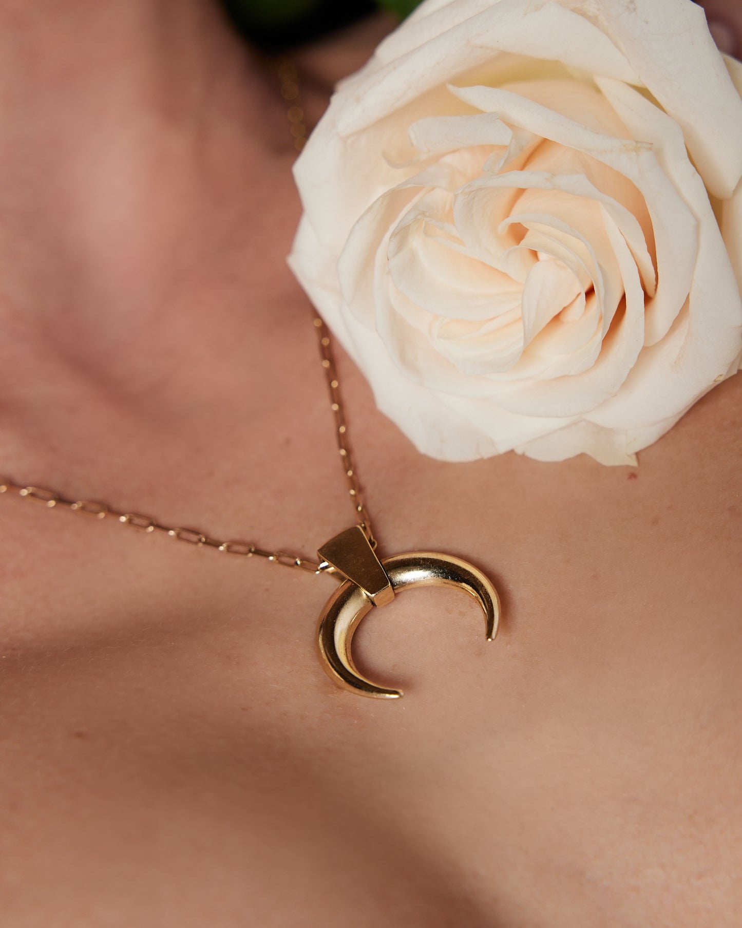 LUNA MASTERING THE MENSES Cycle Tool